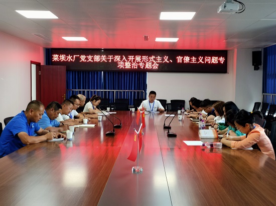 菜壩水廠黨支部召開關于深入開展形式主義、官僚主義問題專項整治專題會