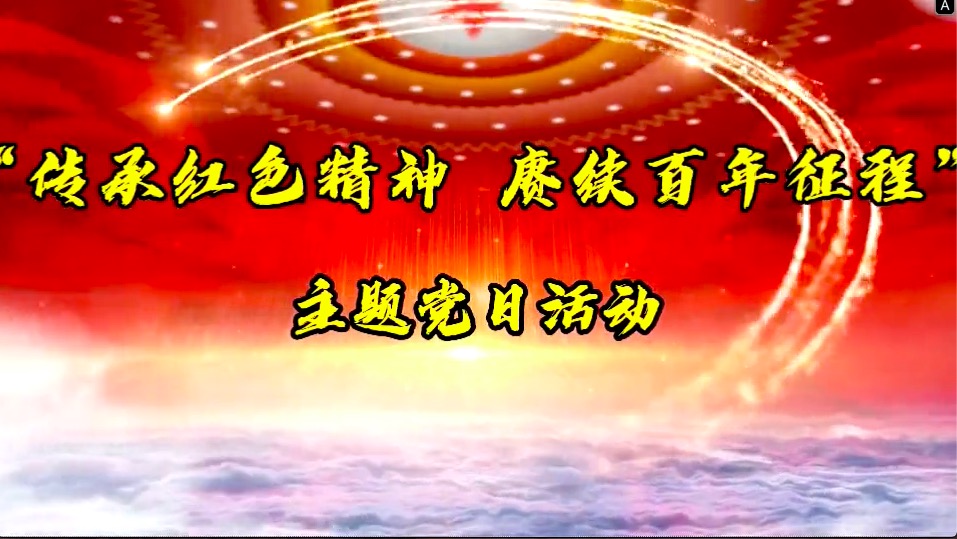 傳承紅色精神，賡續(xù)百年征程-共產(chǎn)黨員服務(wù)大隊(duì)主題黨日活動(dòng)