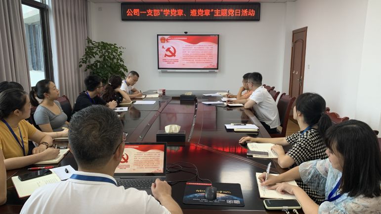 清源水務(wù)公司黨委組織開(kāi)展“學(xué)黨章、遵黨章”系列主題黨日活動(dòng)